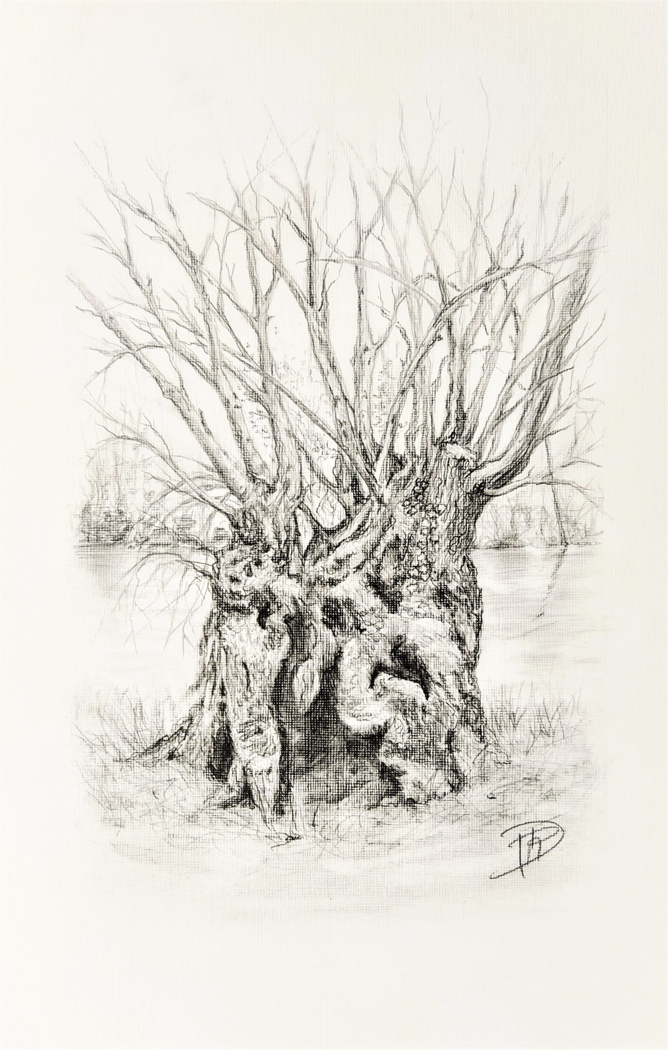 arbre-1-2