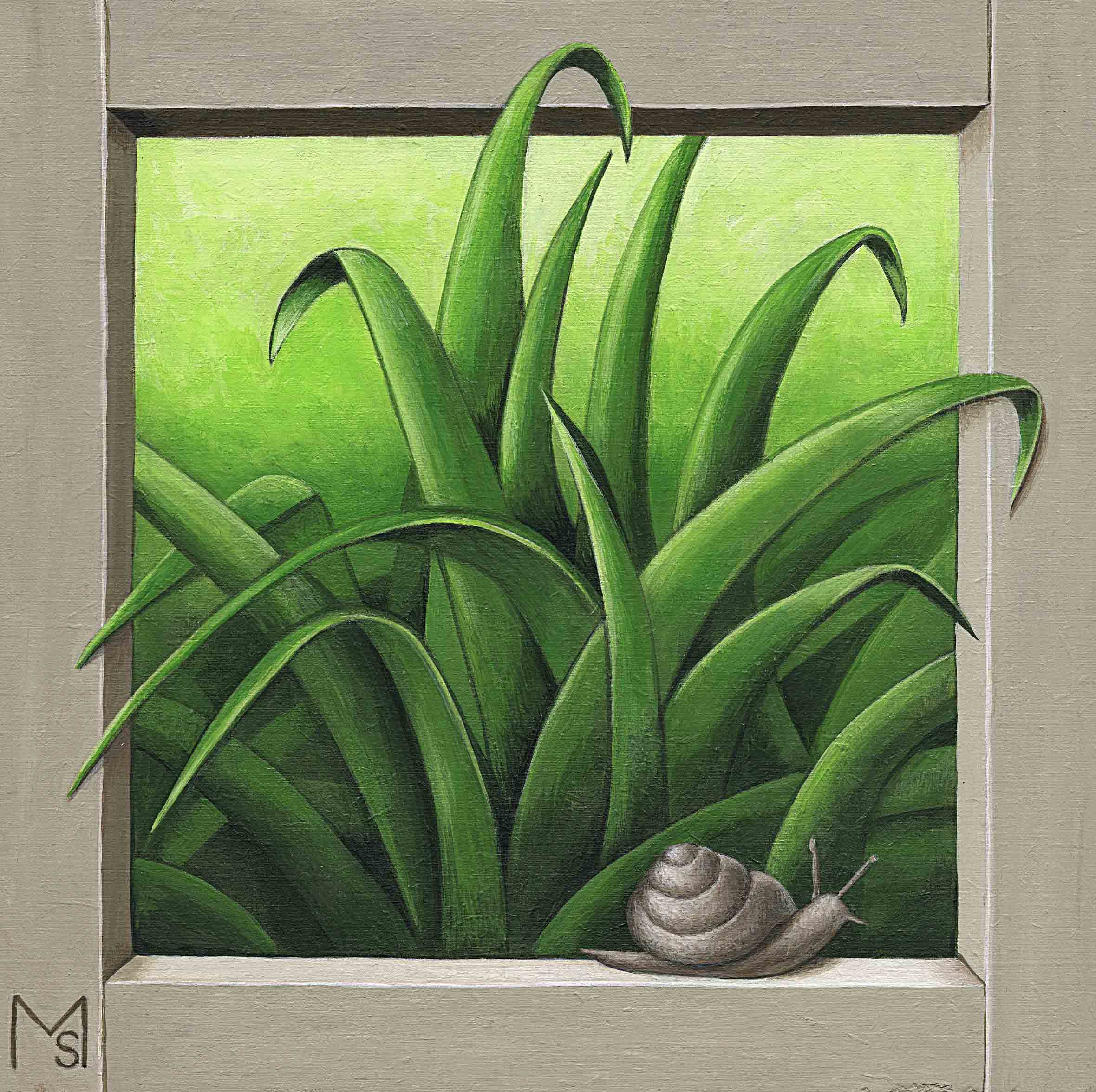 caracol