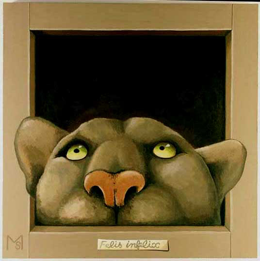 felis-infelix