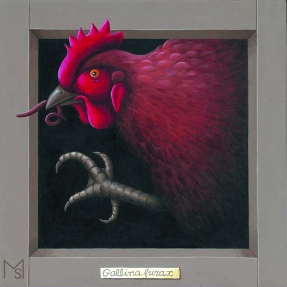 gallina-furax