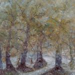 Balade en forêt