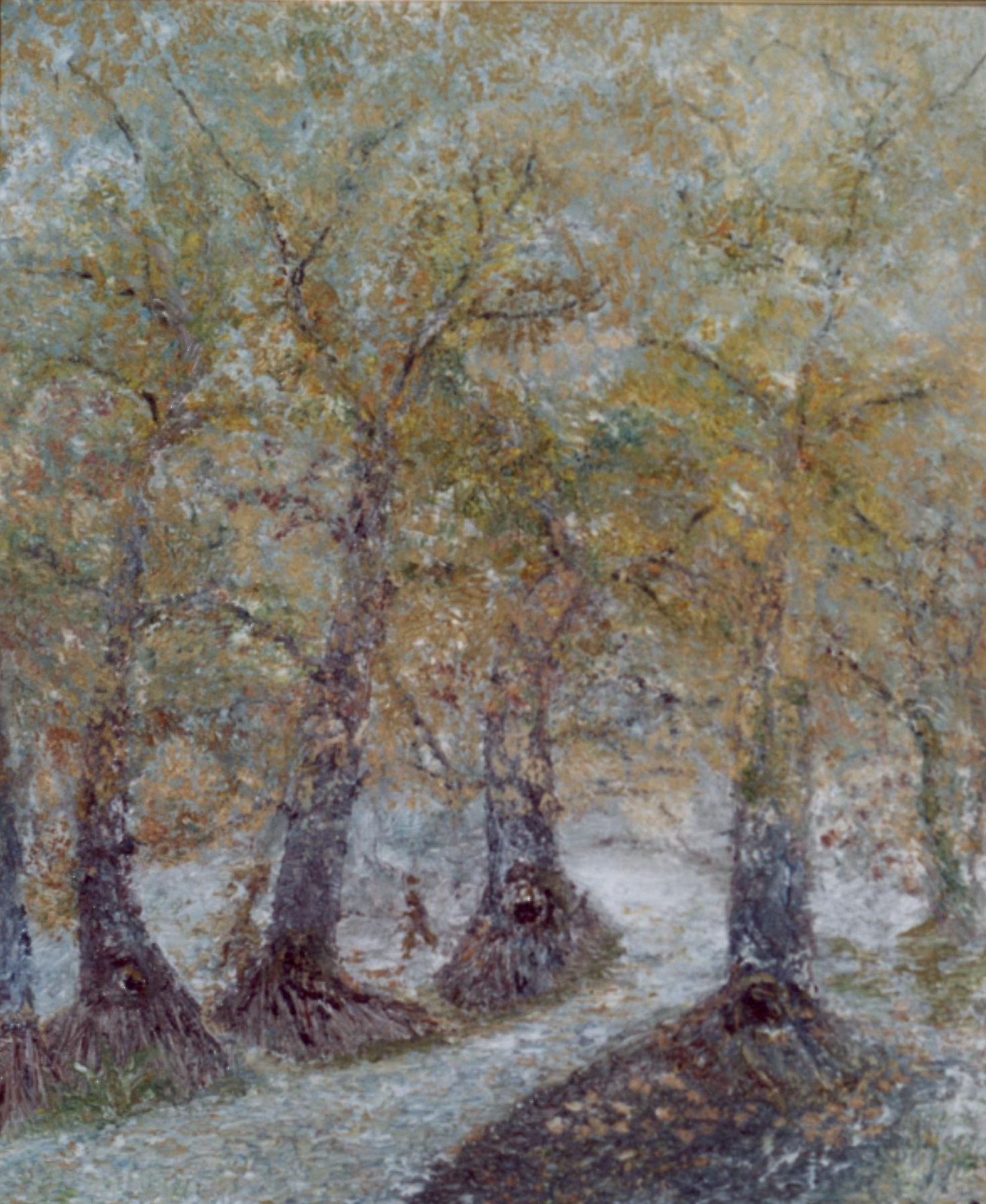 balade-en-foret
