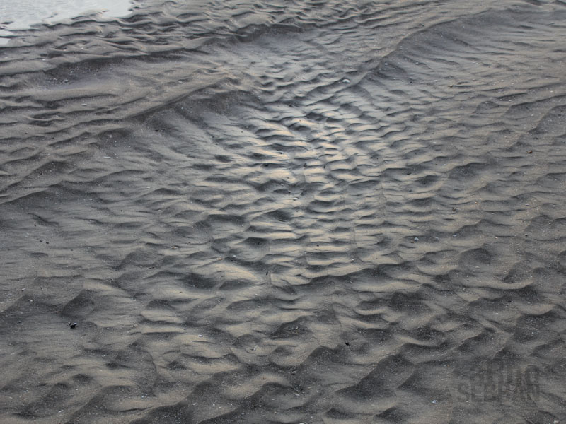 terre-mer