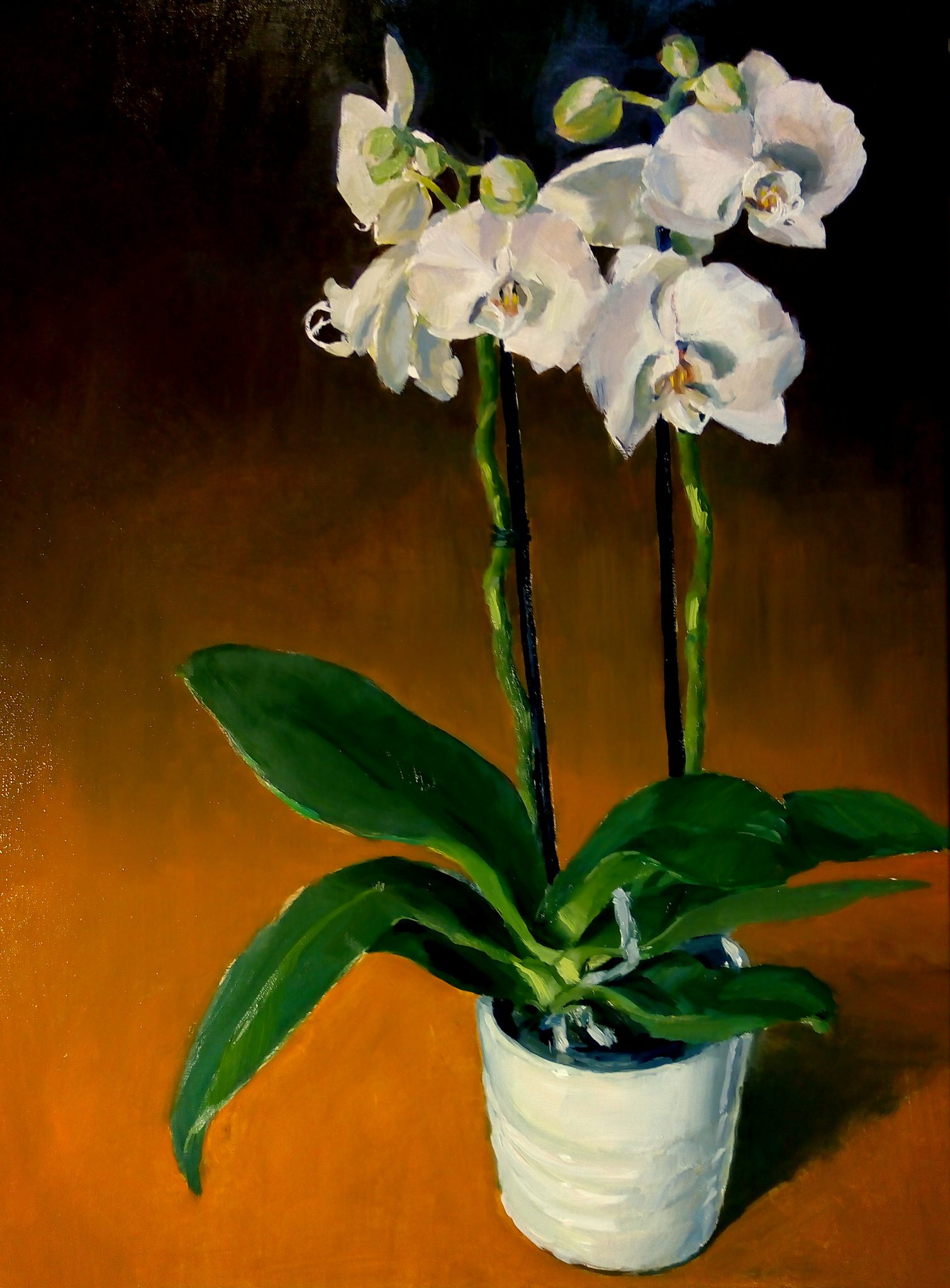 la-grande-orchidee-2