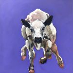 Milka par Thibaut Dapoigny