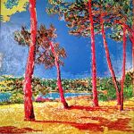 Soleil sous les pins