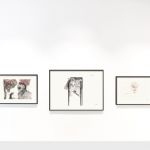 Dessins originaux