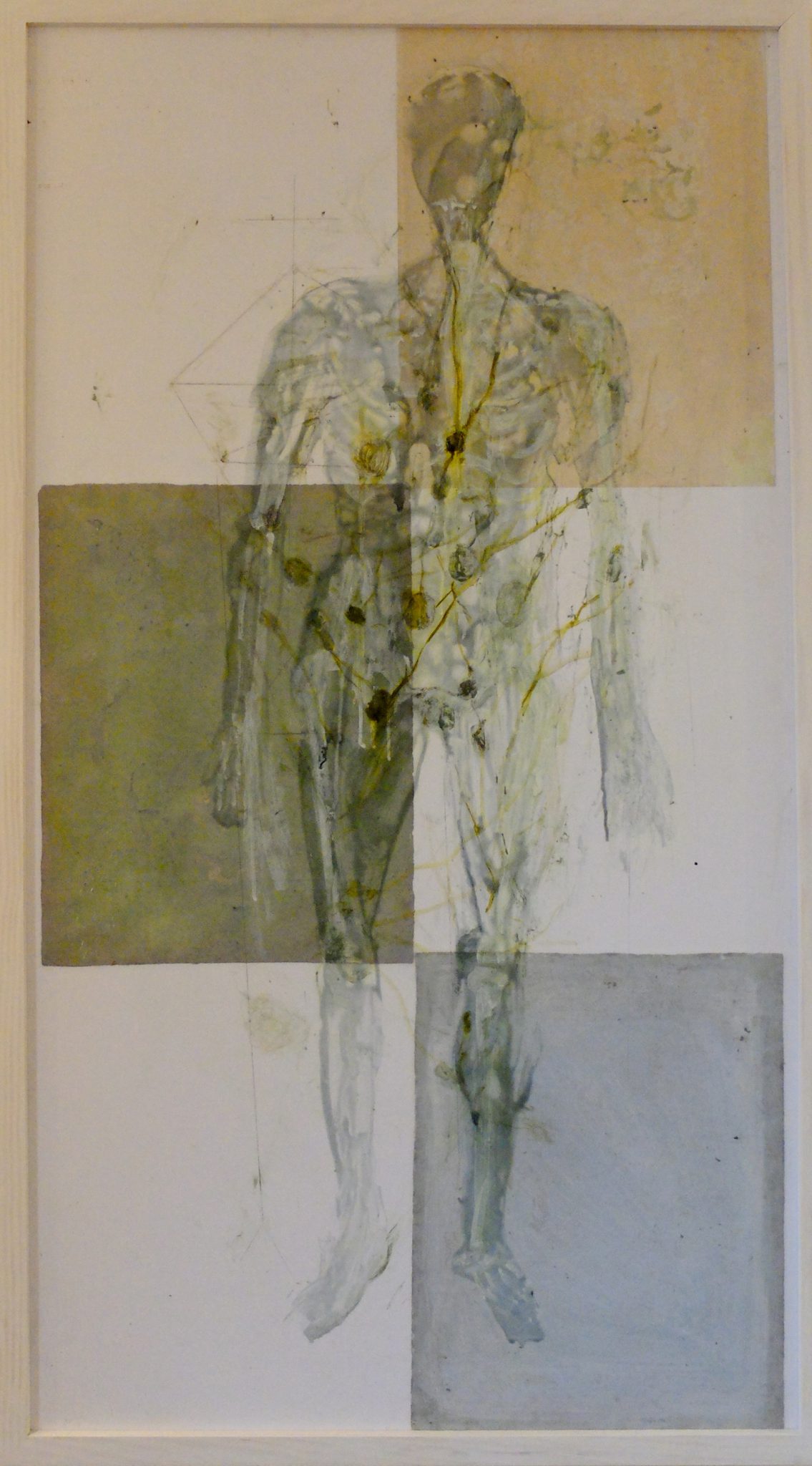 claire-voie