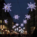 Edelweiss