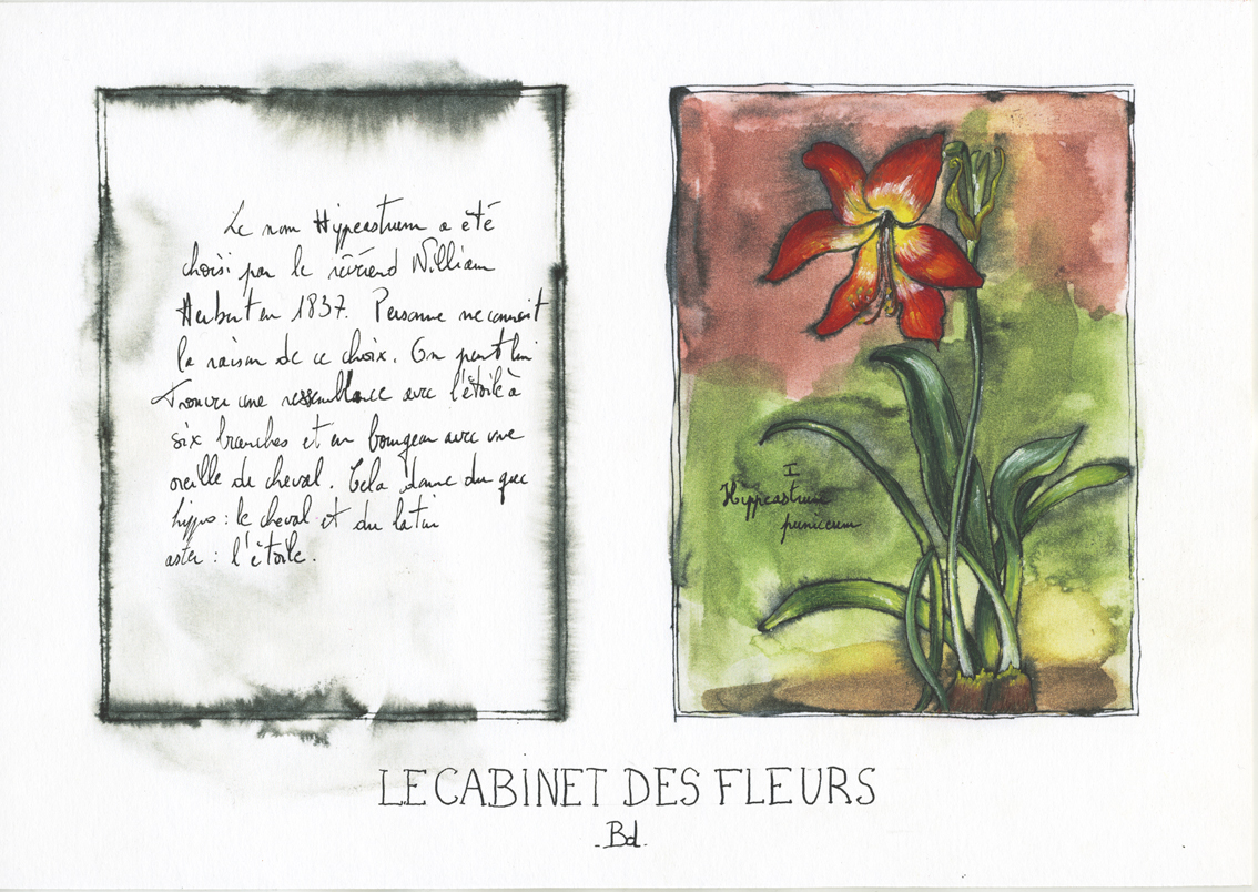 le-cabinet-des-fleurs