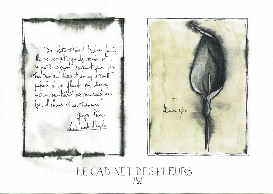 le-cabinet-des-fleurs-2