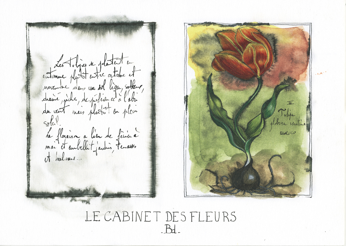 le-cabinet-des-fleurs-3