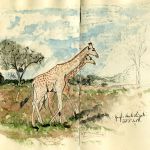 Carnet Botswana