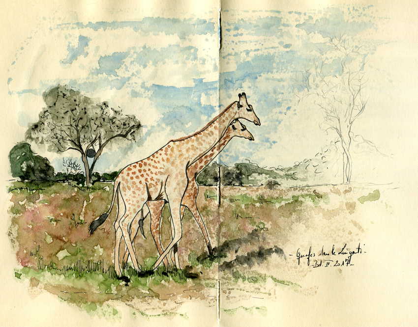 carnet-botswana