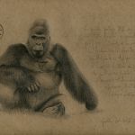 Petites histoires philosophiques et naturalistes par Bérengère Desmettre
