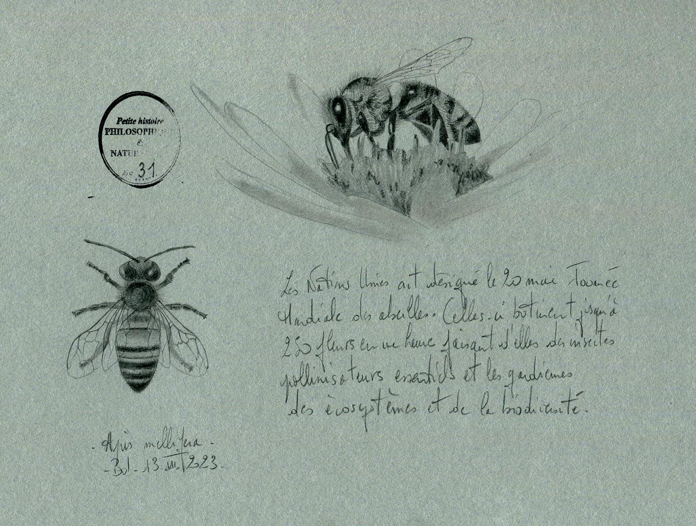 petites-histoires-philosophiques-et-naturalistes-3