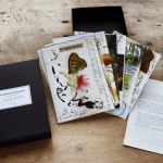Un herbier de Sentiments par Bérengère Desmettre