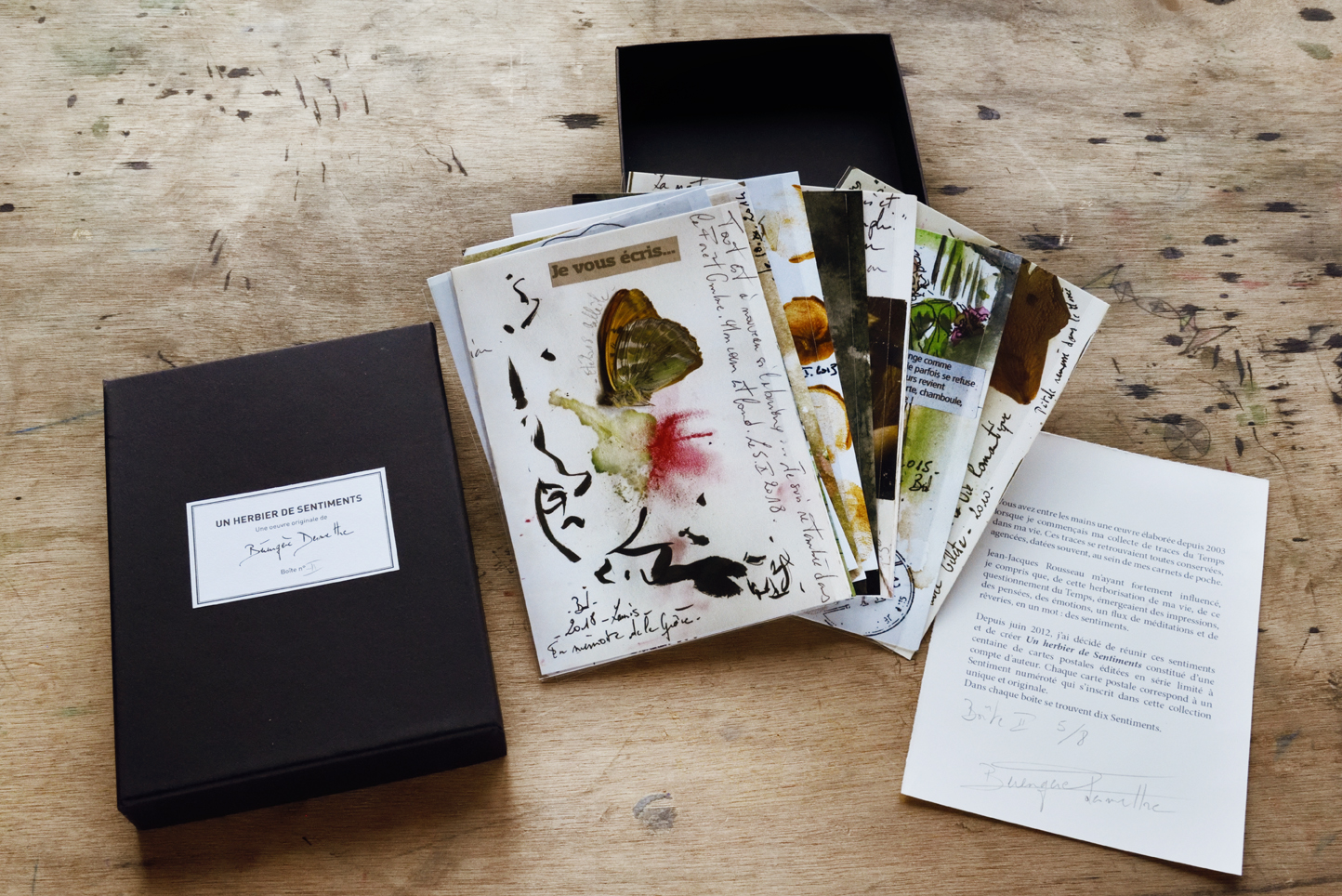 un-herbier-de-sentiments
