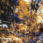 archive silencieuse par Marie-Claude Gallard dite Marieke