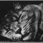 Sleeping beauty par Géraldine Duriaux
