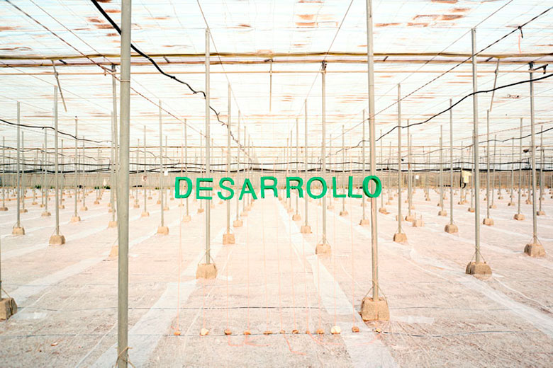 sous-le-plastique-des-mots-developpement