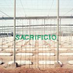 Sous le plastique des mots, Sacrifice par Terence Pique