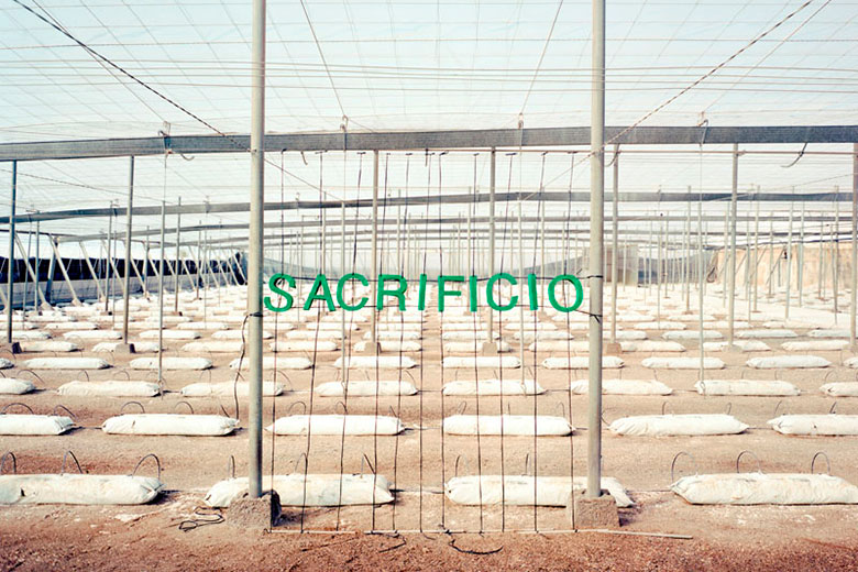 sous-le-plastique-des-mots-sacrifice