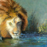 Lion s'abreuvant