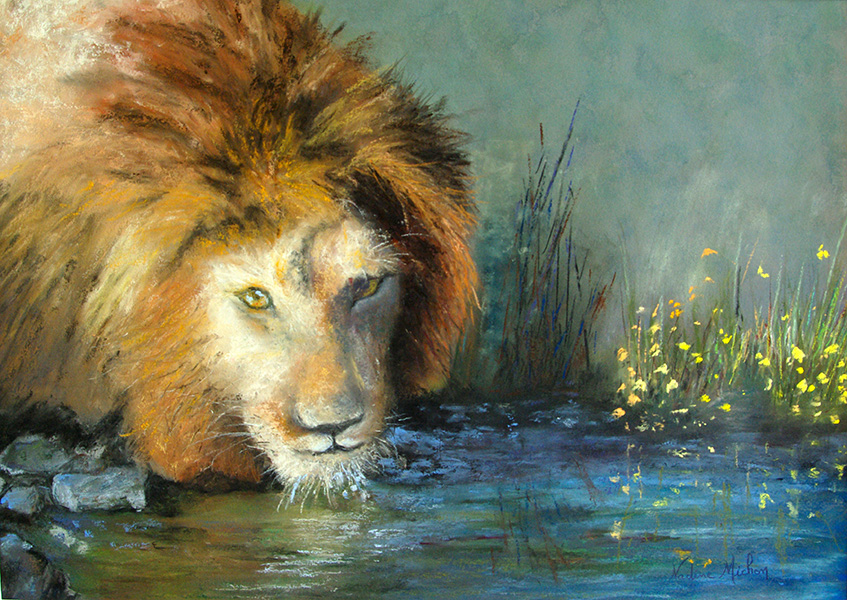 lion-sabreuvant
