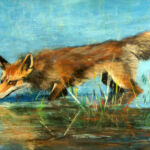 Renard aux aguets