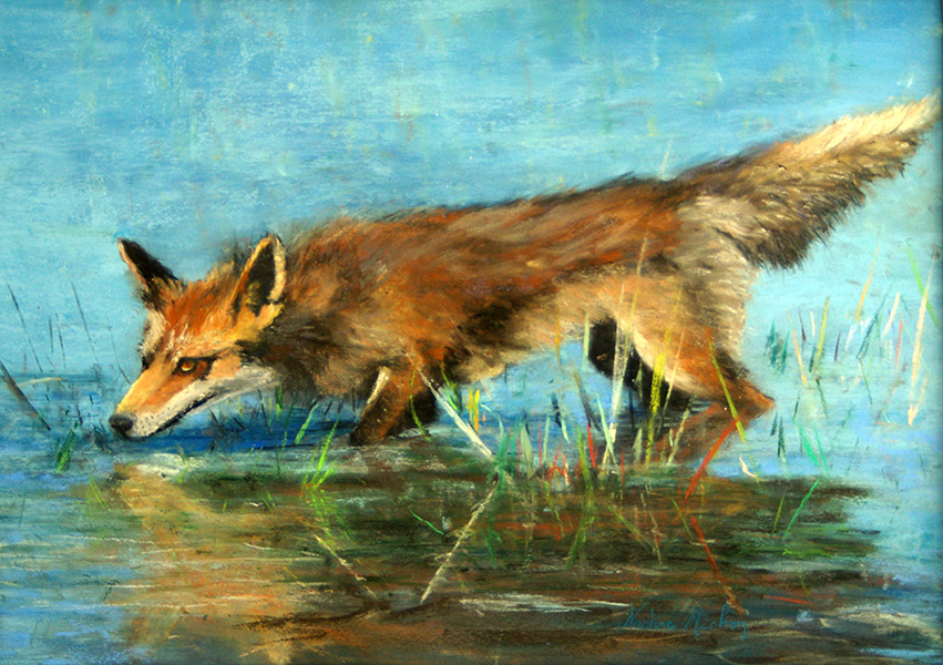renard-aux-aguets