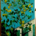 Le citronnier de Nathalie