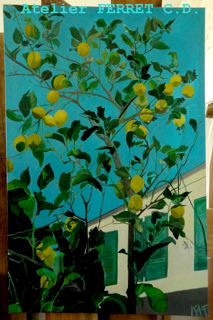 le-citronnier-de-nathalie