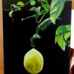 Citron n° 2