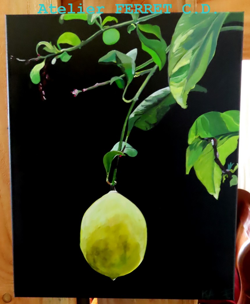 citron-n-2