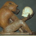 Babouin Vanité par Jean-Patrick POIRON