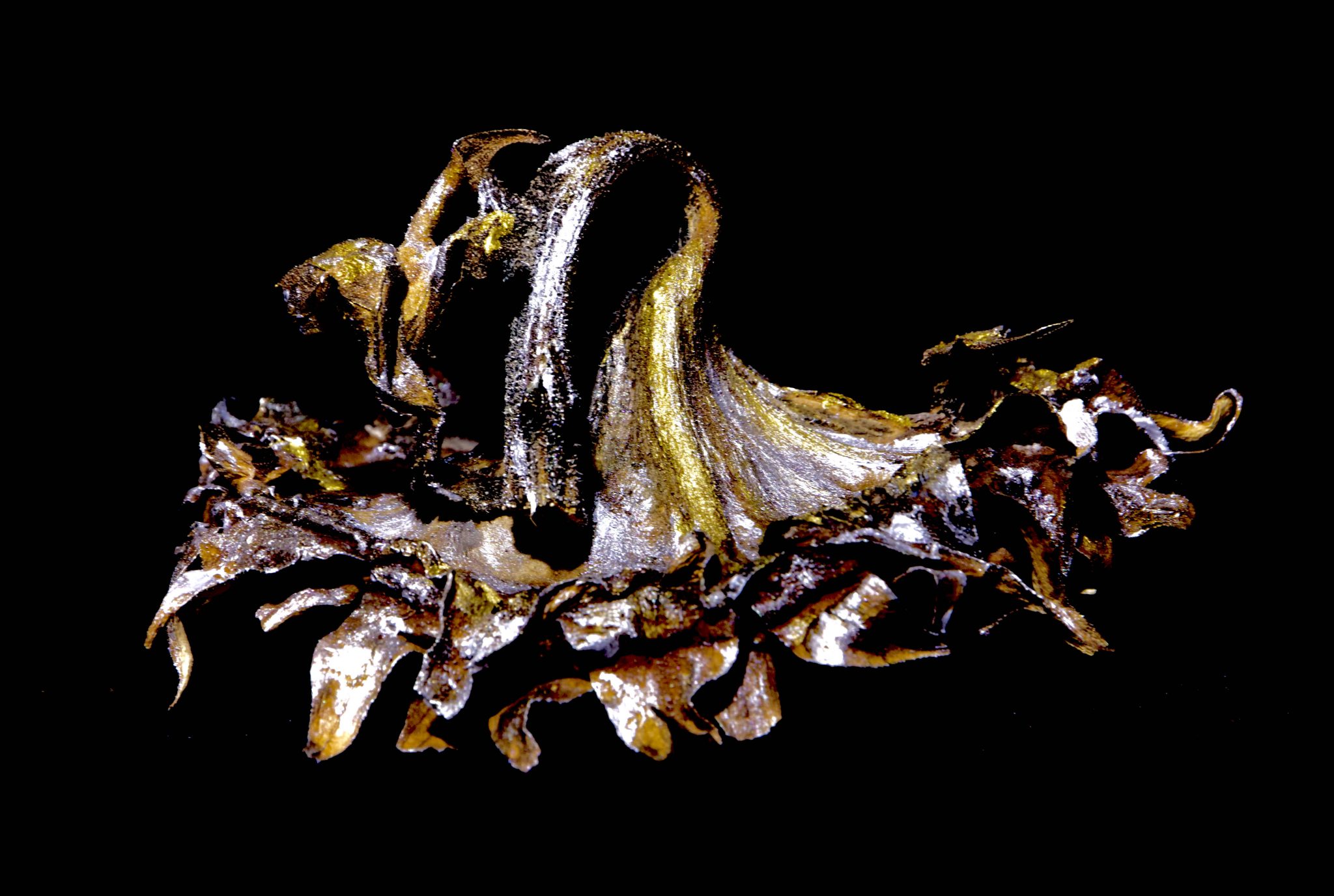 nature-morte-6