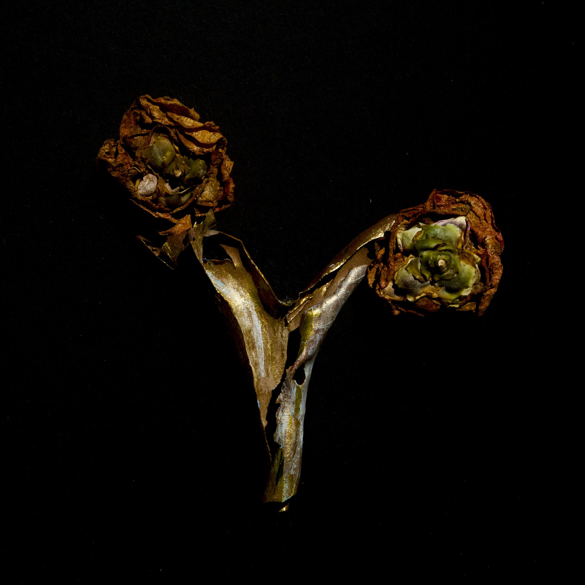 fleurs-5