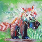 Panda roux coloré