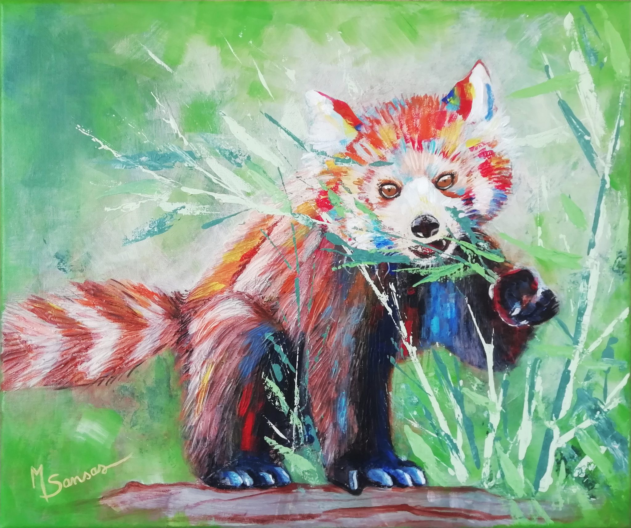panda-roux-colore