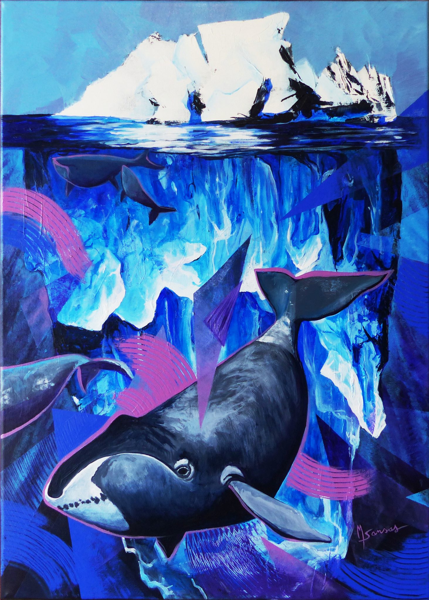 baleine-boreale