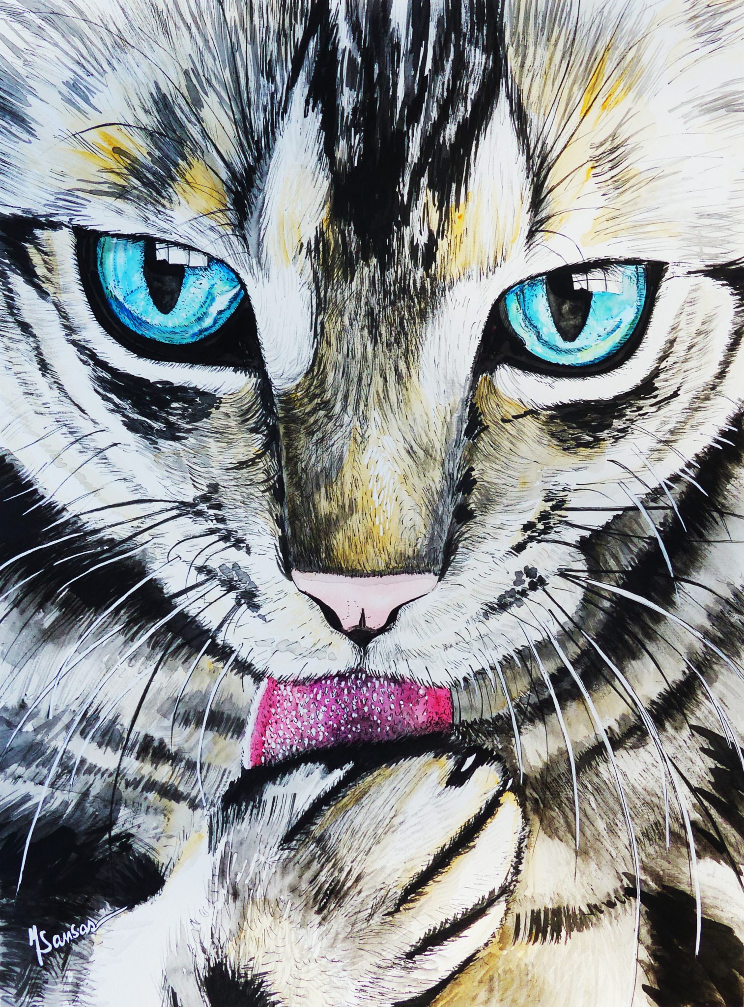 toilette-de-chat