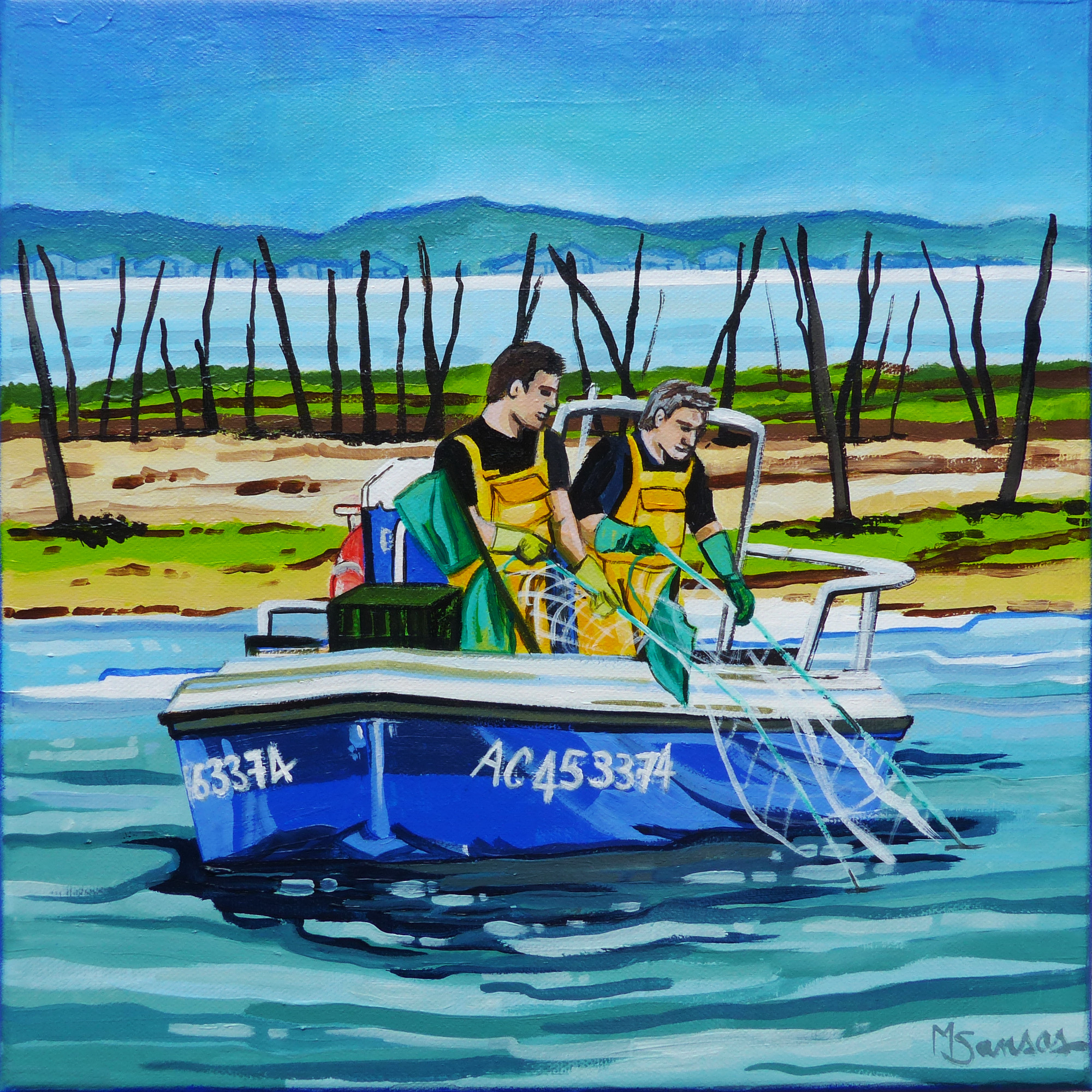 bassin-darcachon