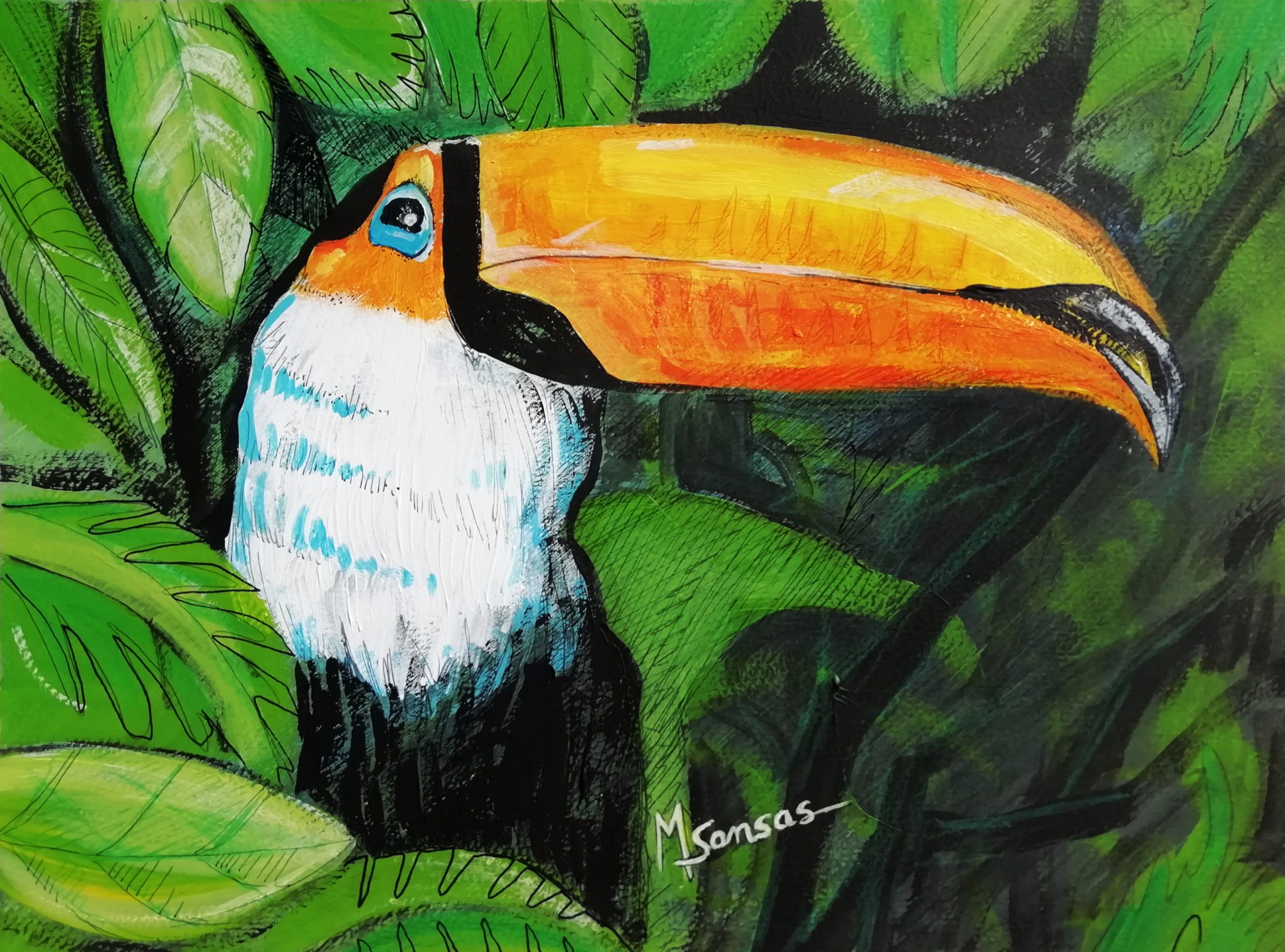 toucan-toco