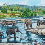 Bain des éléphants par MARINE SANSAS
