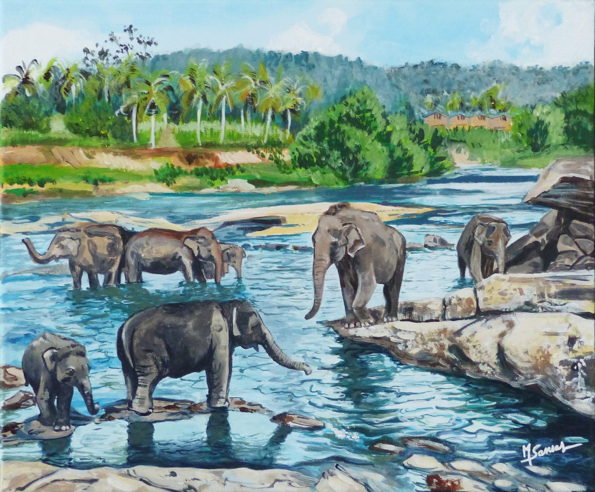 bain-des-elephants