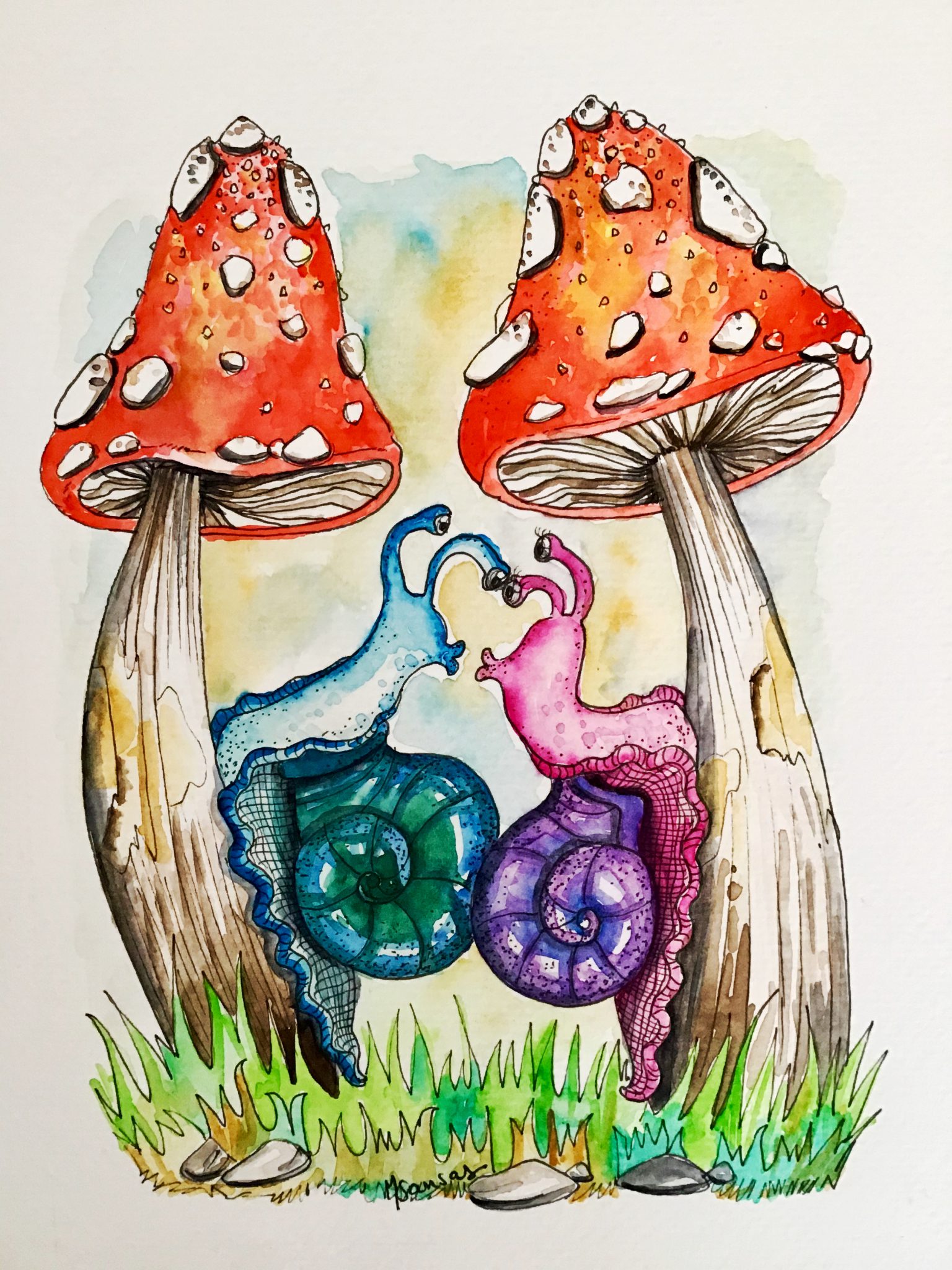 champignons-et-escargots