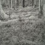 Jura par Clémence WACH