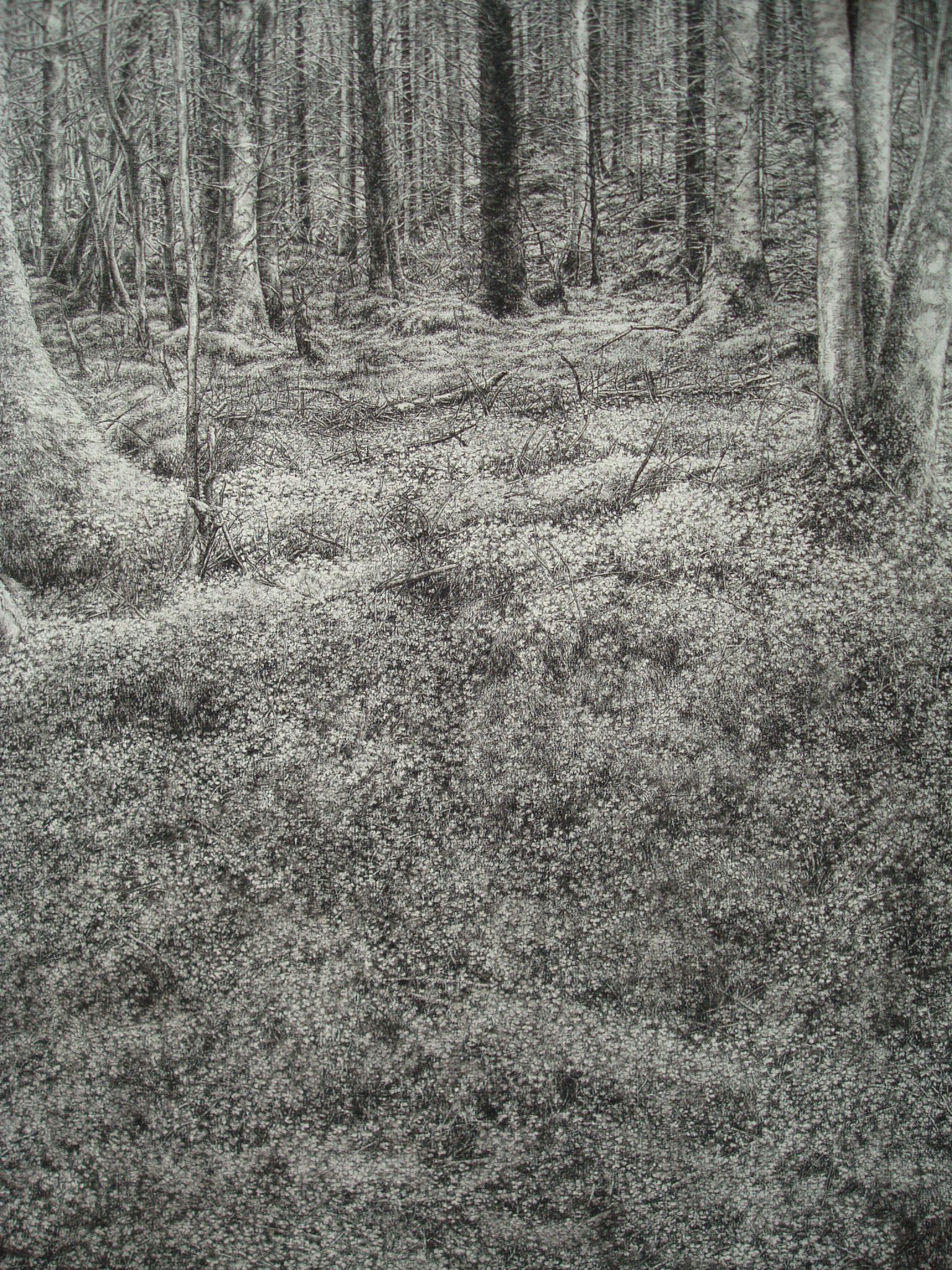 jura