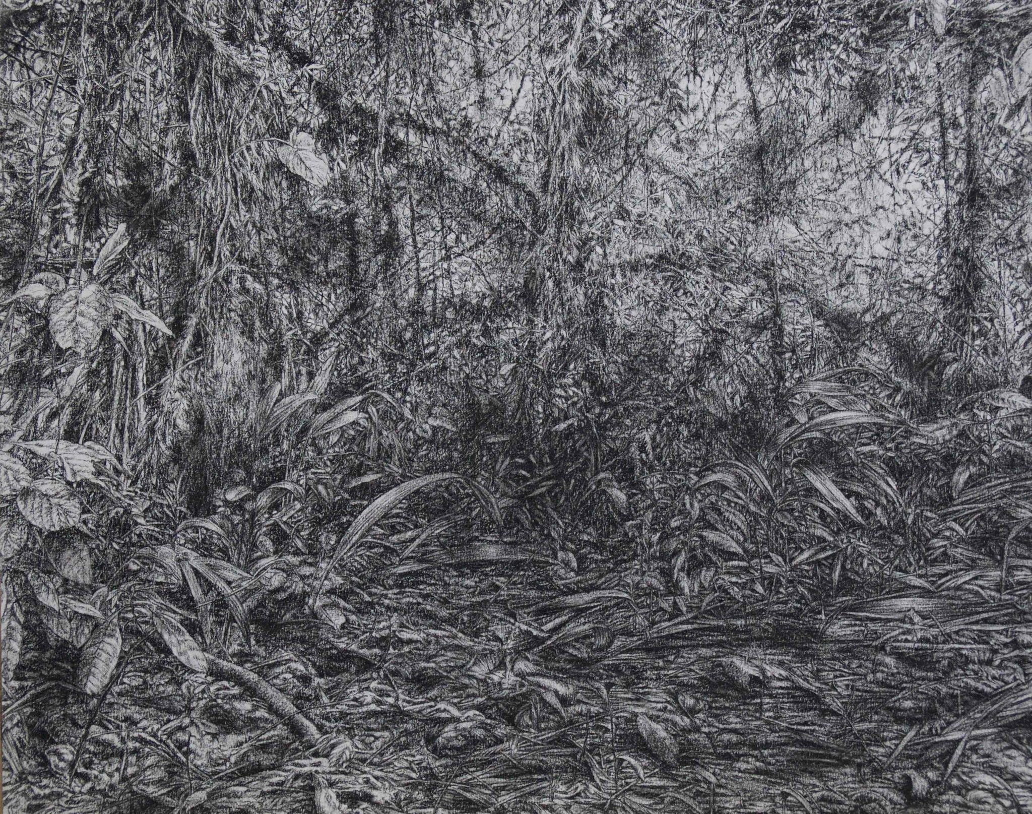 jungle-1